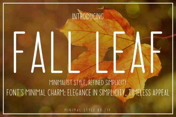 Fall Leaf: A Balanced Script Font for Modern Web Design