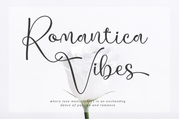 Romantica Vibes: A Script Font That Elevates Real Small Business Branding
